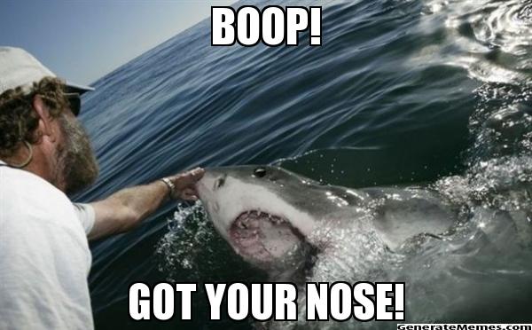 Image result for boop on nose