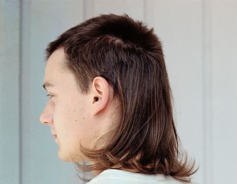 1-mullet-intro-1485290161.jpg?resize=480