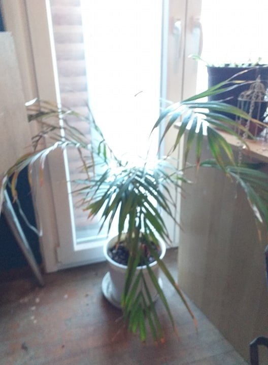 87460076_180359580077186_925830430295326720_n.jpg?_nc_cat=104&_nc_sid=b96e70&_nc_ohc=hQ8WJXHjGFEAX-poxVB&_nc_ht=scontent.fath6-1.fna&oh=1145a91fdedc5194b089a5b5afe8c036&oe=5EEFF66A