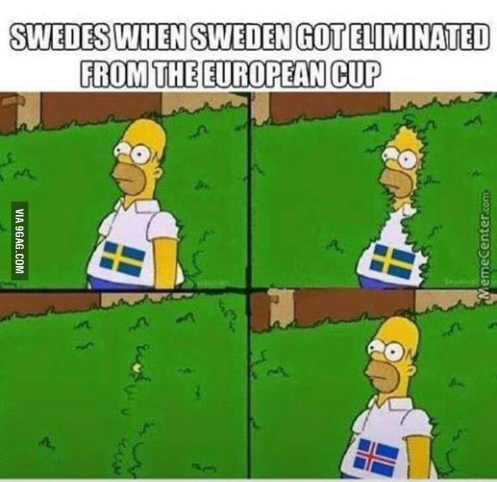 Image result for swedistan meme