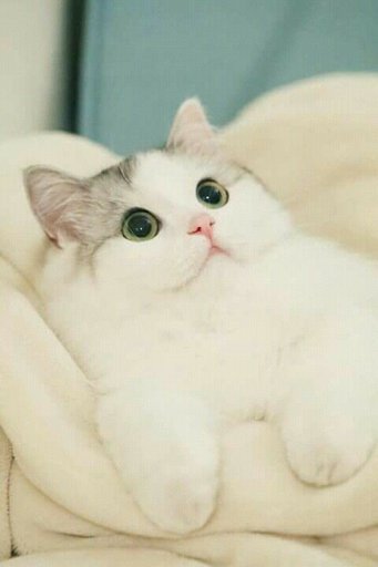 afd531687caffae1a52c8a47ce3820f174c47f23