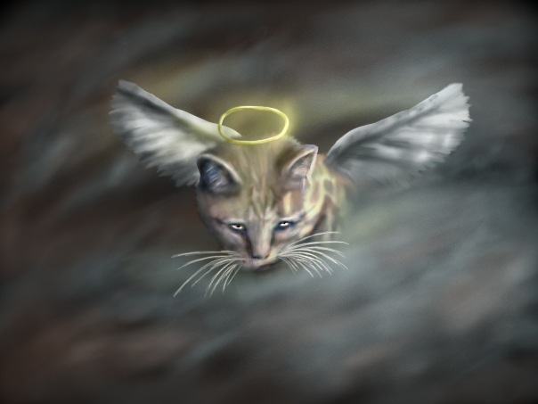angel_cat_of_the_night_by_thefaileddream