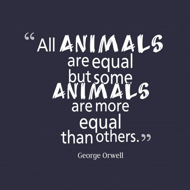 animal-farm-quotes-beauteous-10-best-the