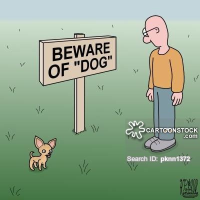 animals-beware_of_dog-signs-dogs-pets-ca