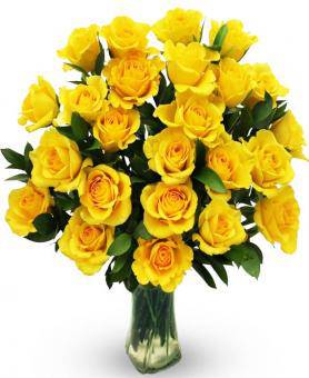 avasflowers-yellow-roses-two-dozen_prod.