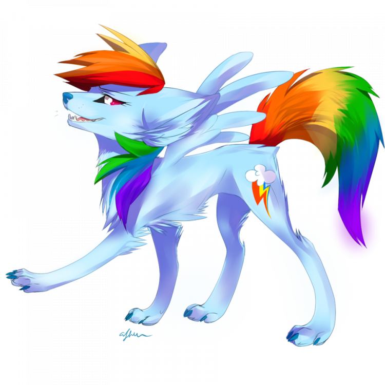 Image result for rainbow dash wolf