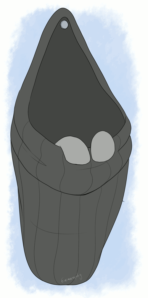 pocket-pony-now-in-bat-variety