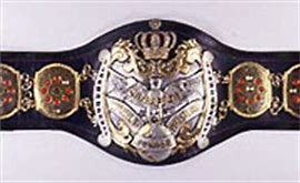 Image result for ajpw jr heavyweight championship