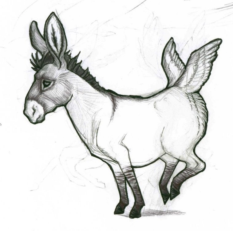 beatirce_the_flying_donkey_by_pippininca