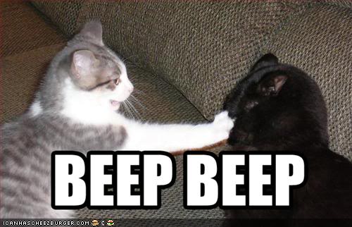 beep-beep-cats.jpg