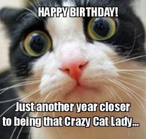 birthday-meme-for-cat.jpg