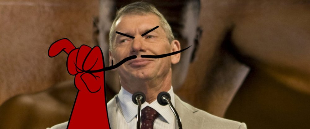 bossasheel-1280x533.jpg