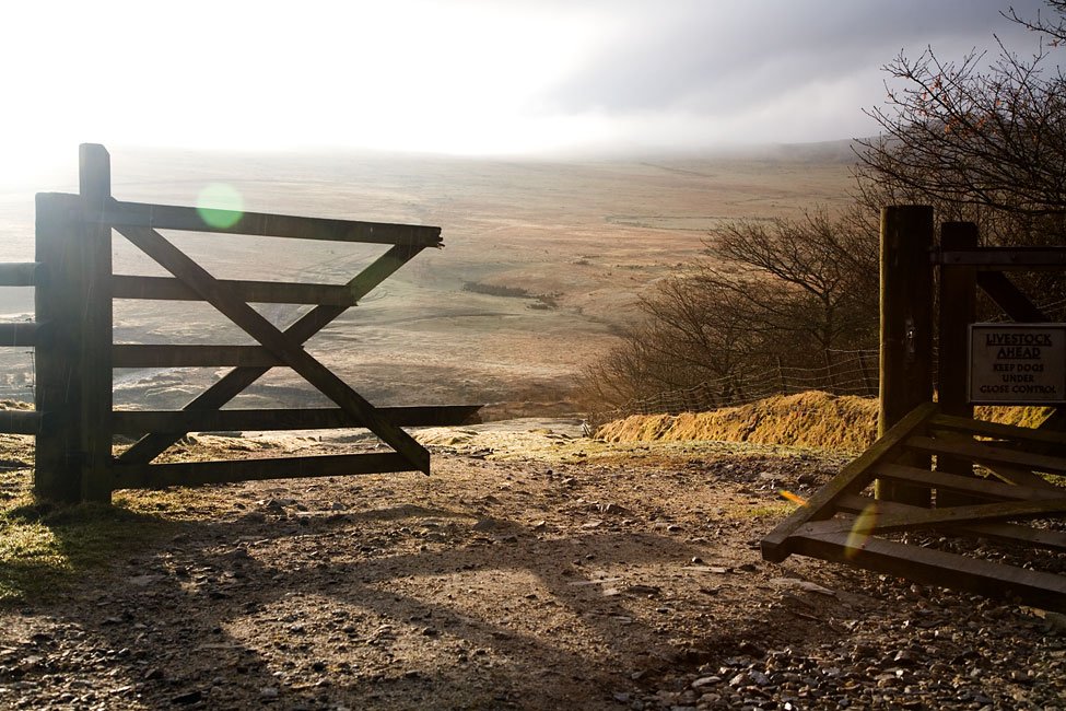 Image result for BROKEN GATE