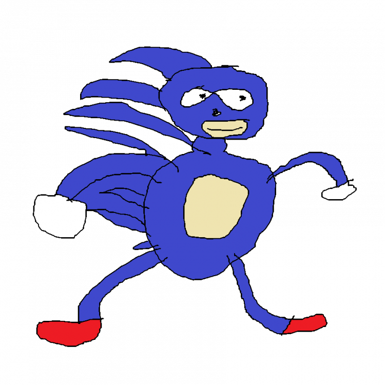 Image result for sanic
