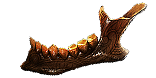 Valako's_Jaw_inventory_icon.png?version=
