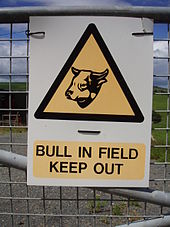 170px-Warning_sign_-_bull_in_field_-_kee