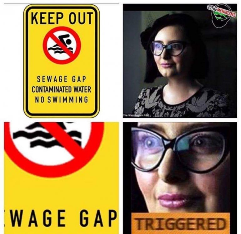 Image result for triggered feminist meme