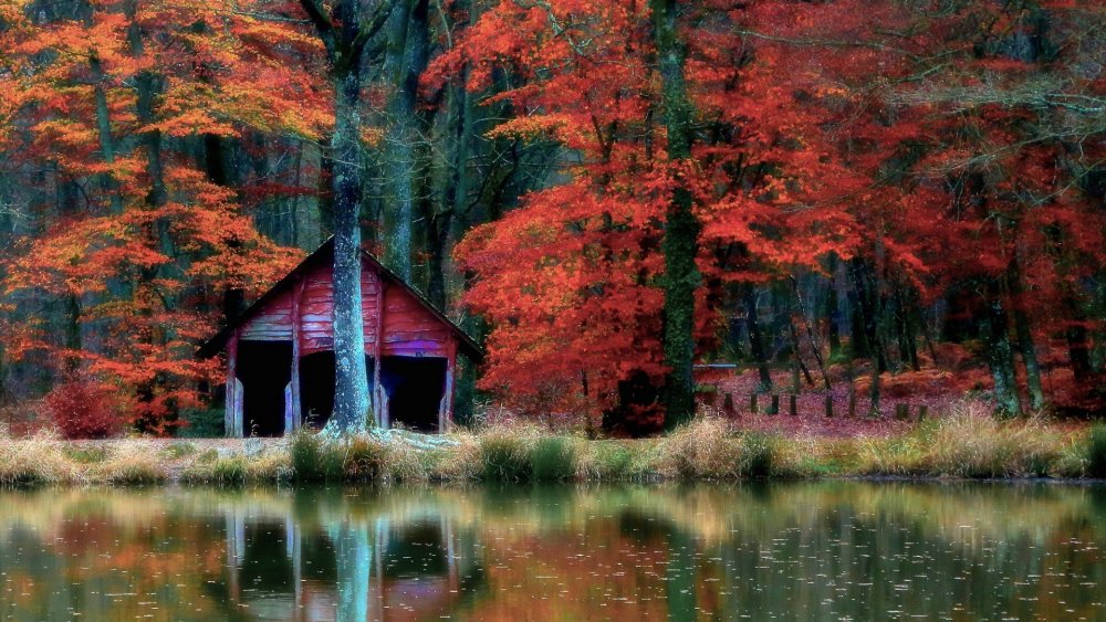 cabin-wallpaper-full-hd-1080p-485826.jpg