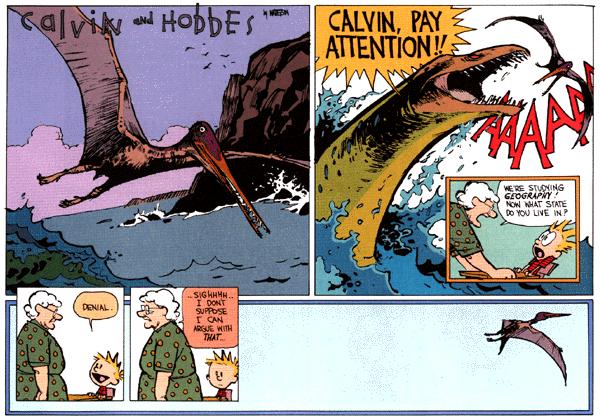 Image result for calvin and hobbes state of denial