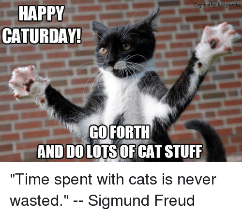 caption-by-kitty-wor-happy-caturday-go-f