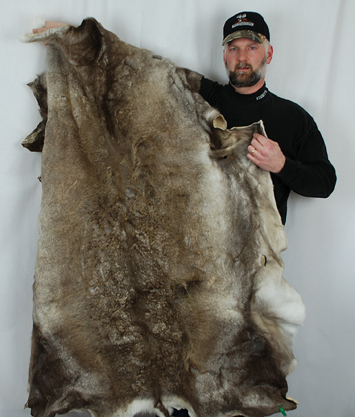 caribou_pelt_415.jpg