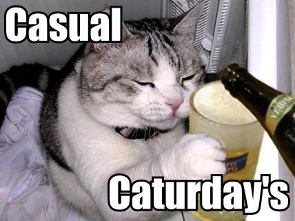 casual_caturday__s_by_lucian9-d2y1kxr.jp