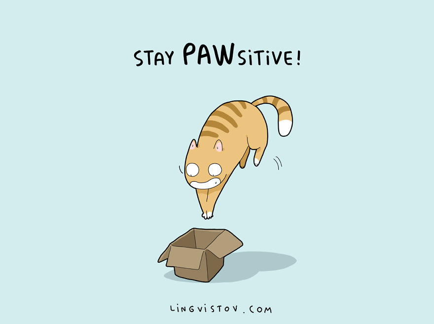 cat-puns-009-57a9d05581f1e__880.jpg