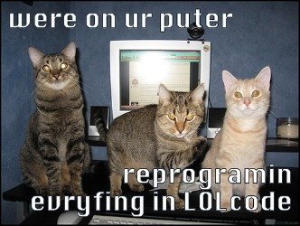 cats-on-computerjpg-384bace60c2aa0b5.jpg