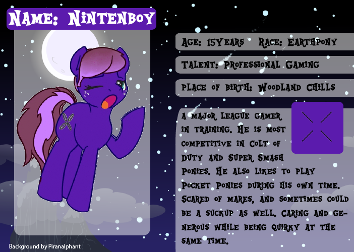 charactersheet_nintendoboy_by_terribilis