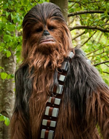 Image result for chewbacca hairy