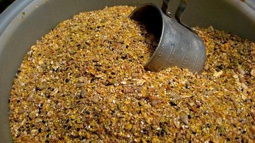 chicken-feed-500x500.jpg