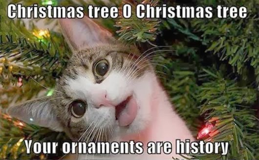 christmas_cat_meme_19128_by_engelvargas-d824ys6.jpg