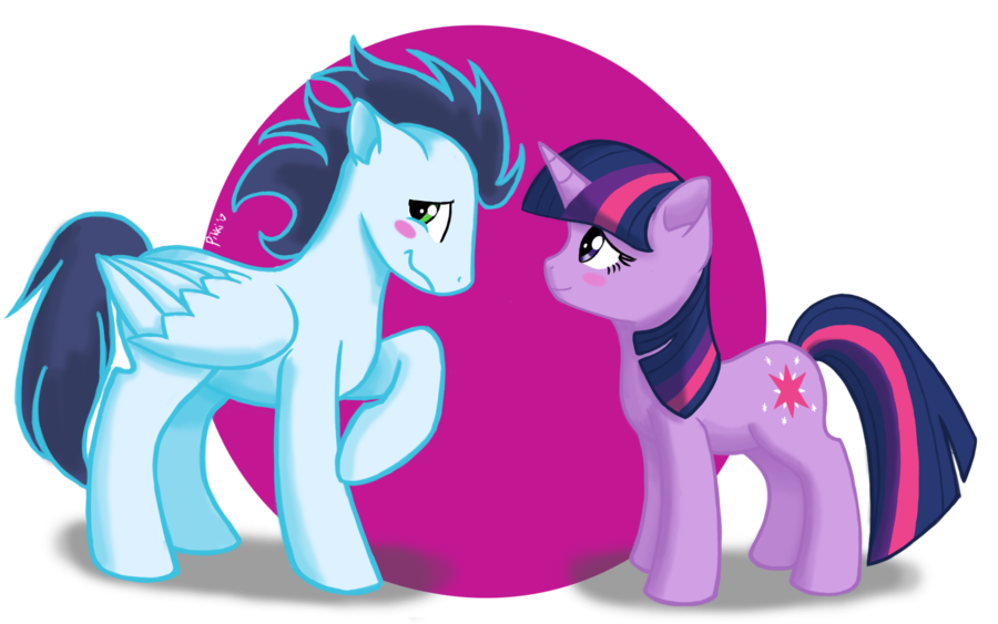 Image result for soarin and twilight