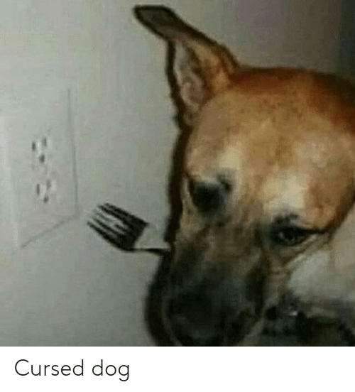 cursed-dog-55248292.png