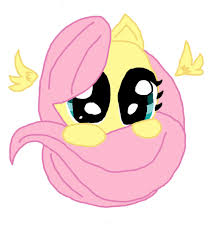 Image result for baby fluttershy