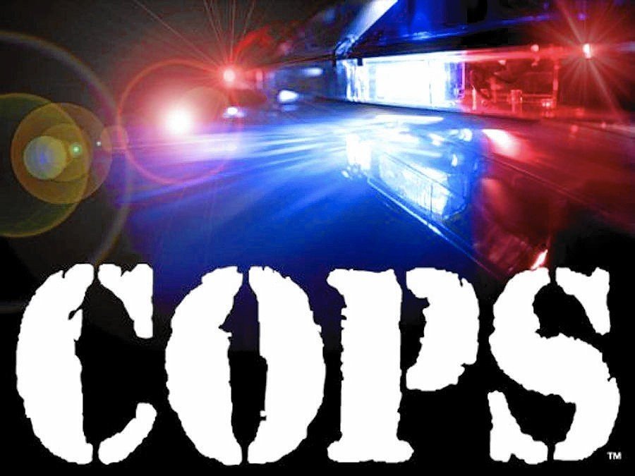 Image result for Cops logo