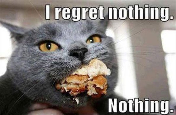 Cat-Eating-Cake-Meme.jpg?resize=594,388