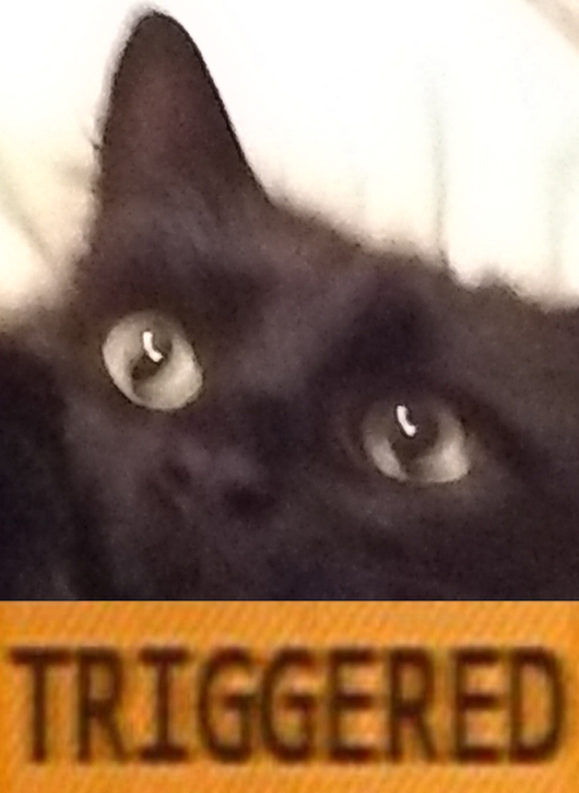 8398253988828236467%253Faccount_id%253D0