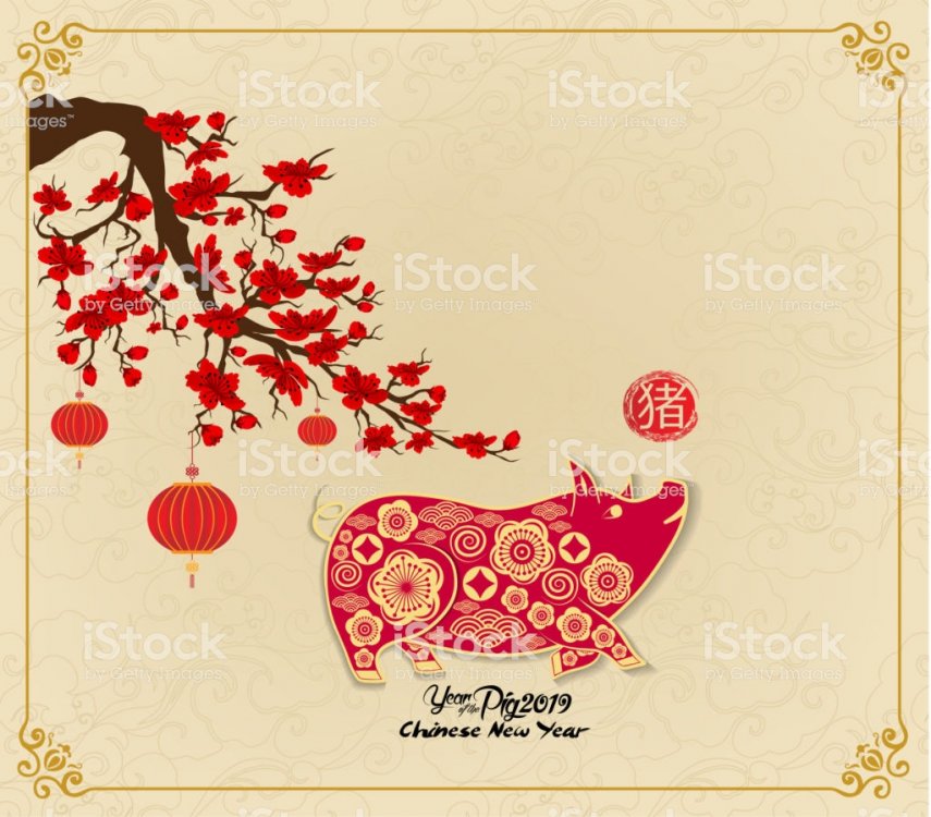 happy-chinese-new-year-2019-zodiac-sign-with-gold-paper-cut-art-and-vector-id980701624