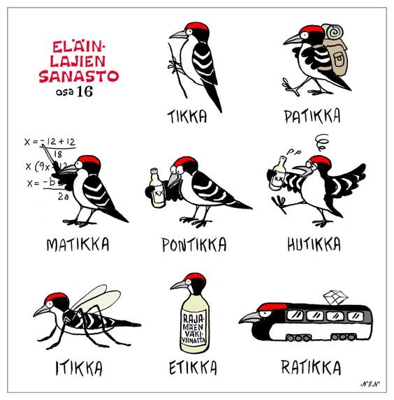 ElÃ¤inlajit 16