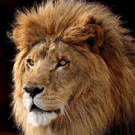 jza70 (Jacek Zadrąg) · GitHub