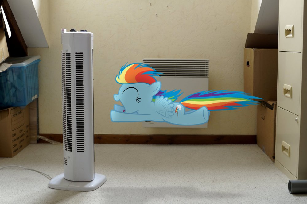 dashie_and_her_fan__mlp_in_real_life__by