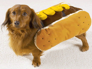 dogdressedasahotdog.gif