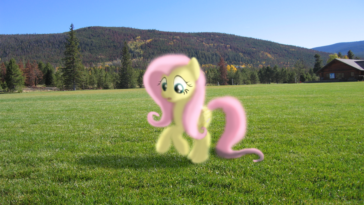 Don't be afraid Fluttershy!