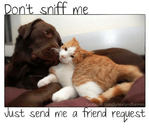 dont-sniff-me-bert-jonkhans-facebook-com