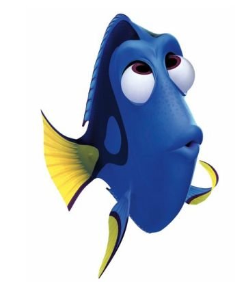 Image result for dory thinking