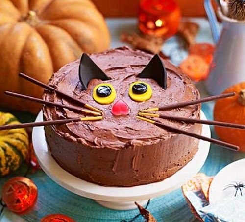 Image result for cake cat
