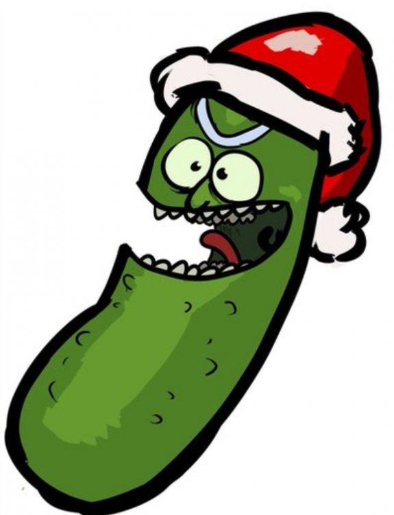 Image result for christmas pickle rick