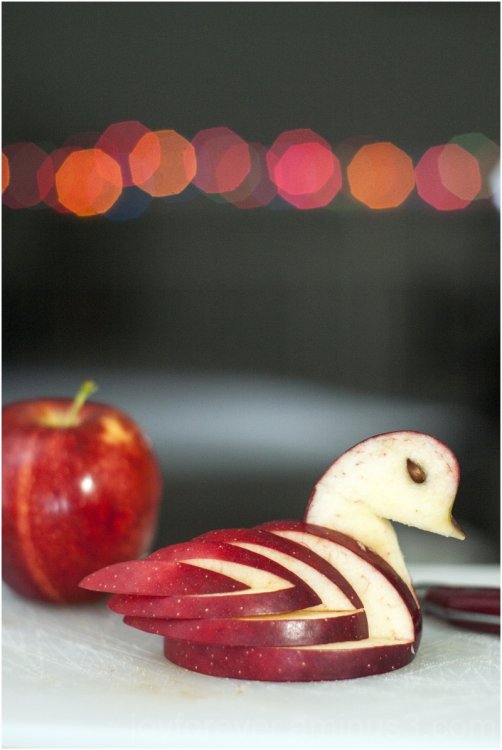 e66e12c4d6d354e4b6dfbd4e5e0d76b5_large.j