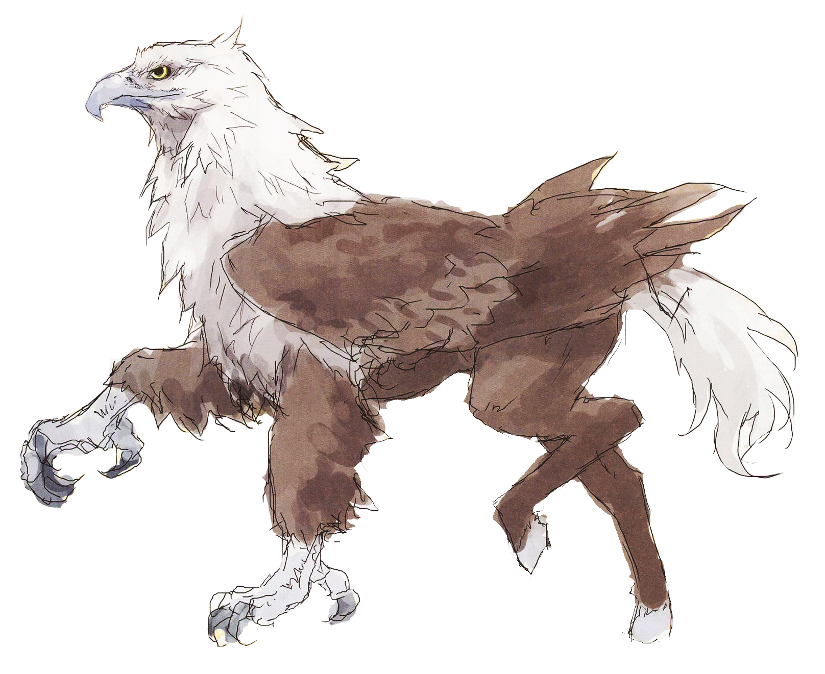 Image result for hippogriff